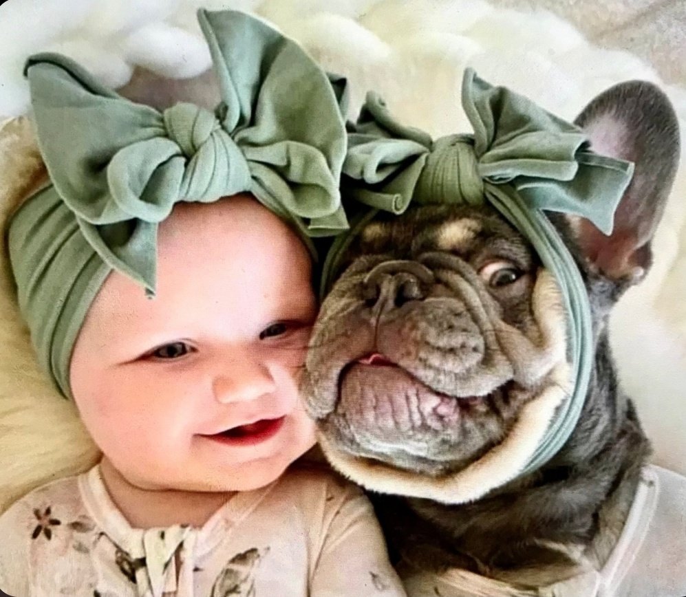 Miep51082958's tweet photo. Deze twee zijn duidelijk klaar voor de Paasdagen. #paasei π€ #TheCuteFactor https://t.co/5RYHkQzlCD