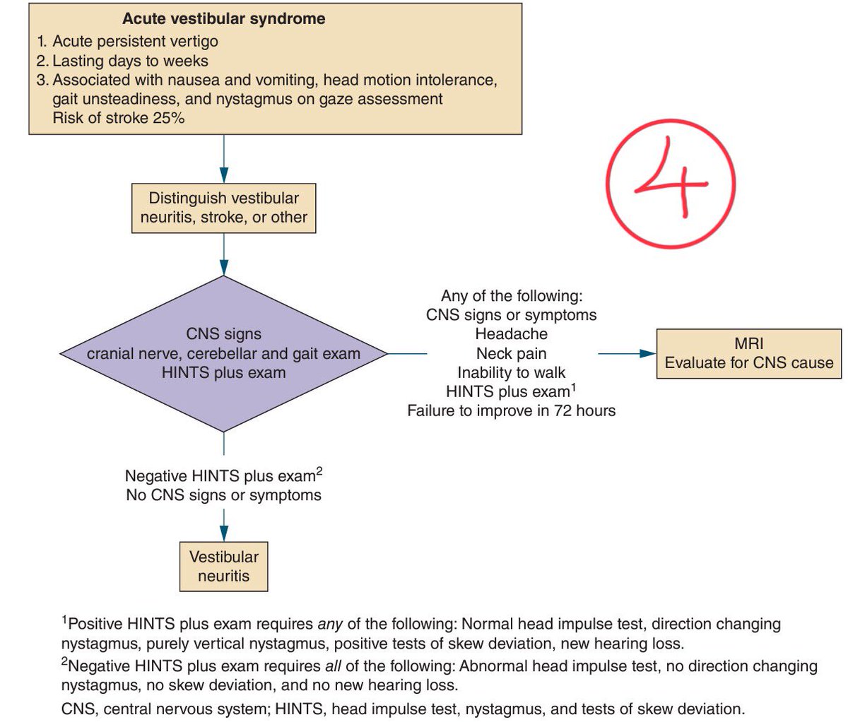 🚨 مهم جداً لكل طبيب 
🚨 أهمية الVertigo وعلاقتها بالStroke

📍بناءً على الAmerican academy of family physician كمصدر 

📍ارفقت لكم نهاية التغريدة افضل طريقة approach للVertigo كما لم تراها من قبل ، بتصيد فيها كل الكيسات بسهولة 🤩

الVertigo من الشكاوى الشائعة في أقسام الطوارئ،