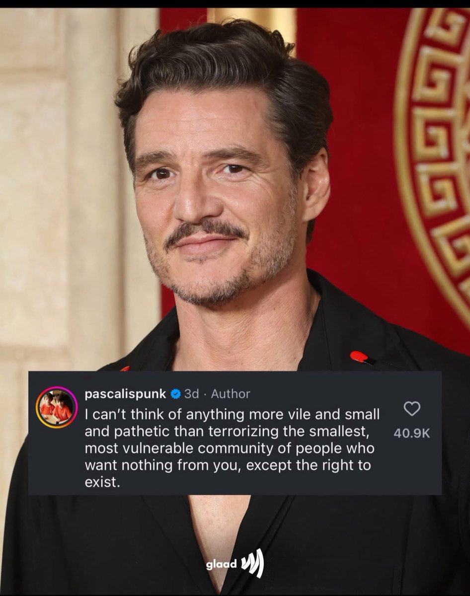 Een inspirerend succesvol mannelijk rolmodel voor opgroeiende jongens?

Pedro Pascal.
