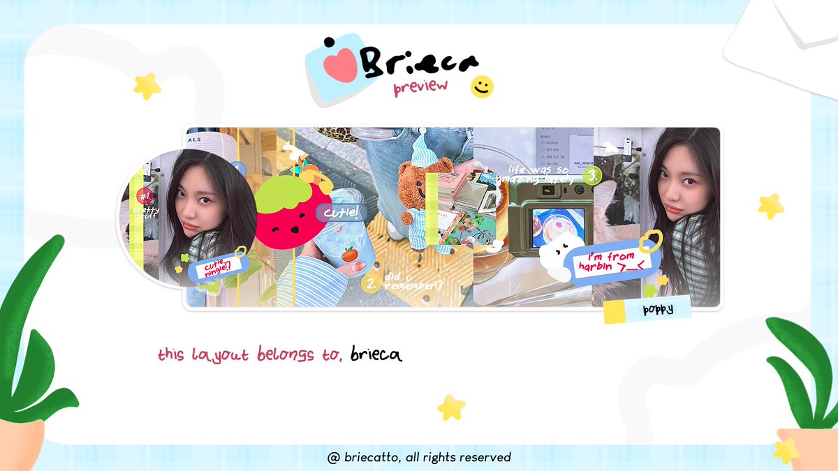 BRiECA 🐈 tweet media
