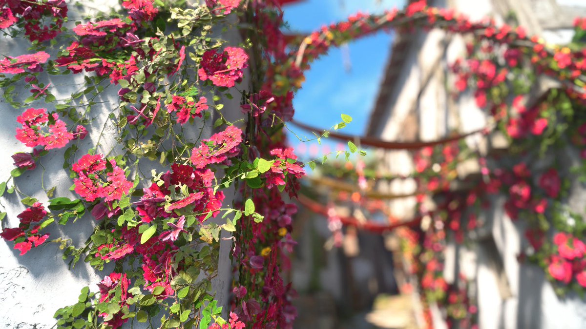 gamerjenny_'s tweet photo. A plague tale: Requiem 🌸

#APlagueTaleRequiem
#VirtualPhotography https://t.co/k1gpIrgBXs