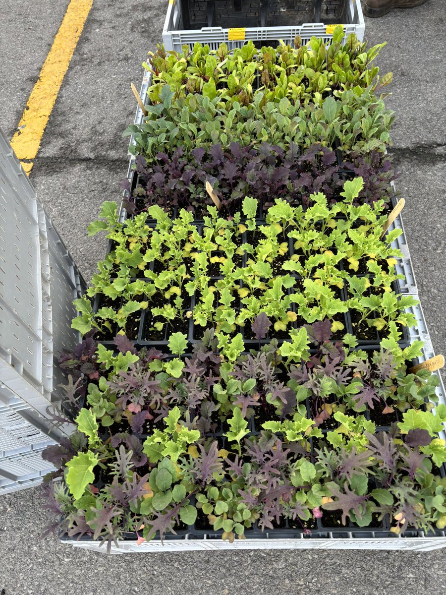 OttawaStFarmers's tweet photo. Happy Saturday!!!!!
Stop by and see all of your favourite vendors….before the rain comes.
#FarmersMarket #ottawastreetfarmersmarket #markets #canadian #local #fresh #fromourfarmtoyourtable #farmersmarketontario #agont https://t.co/GlN66DU0To
