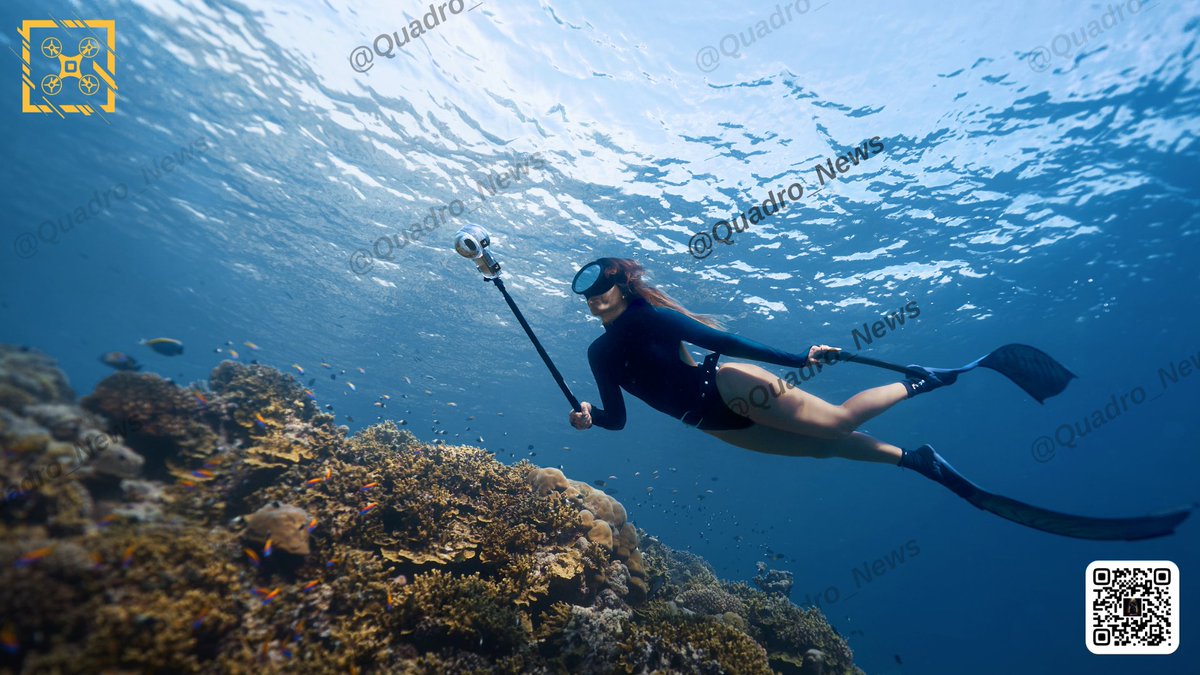 Igor Bogdanov tweet media