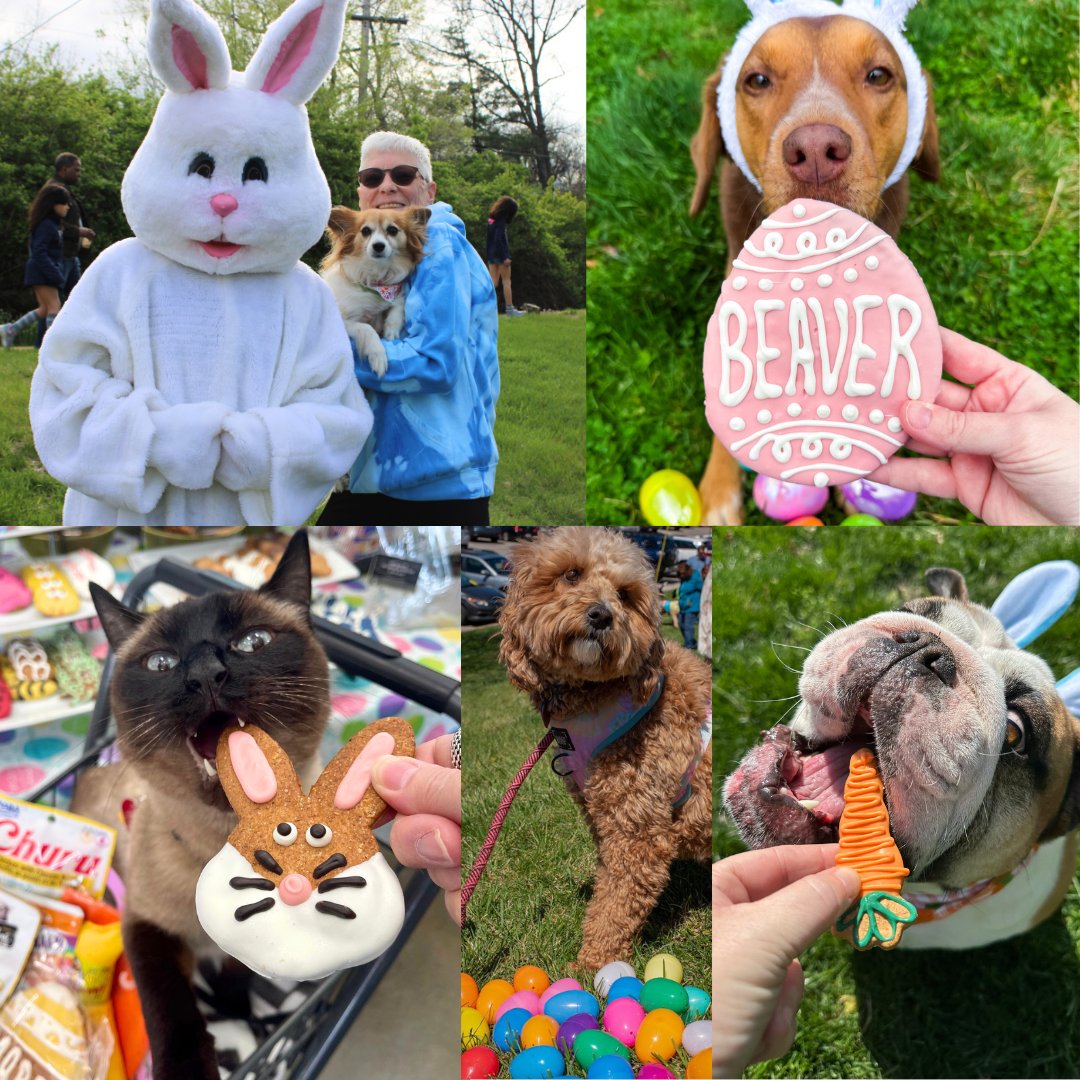 Treats Unleashed tweet media