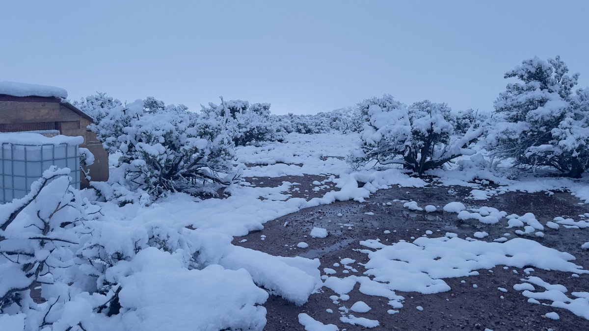 Christopher Ruff tweet media