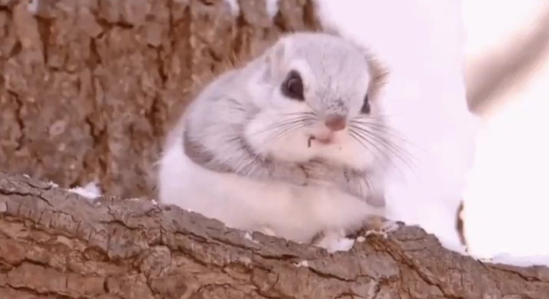 ๊น์๋ผ (@kimshura_dm_v2) on Twitter photo ๋ก์ฆ๋ชฌํฐ์ค ๊ทธ๋ฐ๊ฑฐ ๋ณด๊ณ ์ถ๋ค
๋ฐฐ๋ถ๋ฅธ ๋ก์ฆ๋ง๋ฆฌ
์์ง์ด๋ ๊ณต์ฑ๋ณ๊ธฐ์ง๋ง ์๋ฌด๋๋ ์์ฒญ ๊ท์ฌ์์ ์์ค์ ๋ง์ค์ฝํธ ๊ฐ์ ๋ก์ฆ๋ชฌํฐ์ค
์์ ๋ฐ๊ณ ๋๋ฉด ๊ณ ๋ง๋ค๊ณ ๊ฐ์๊ฐ์๊ฑฐ ๋ฐ๋๋ฐ ํธ๋ฉ๊ฐ์๊ฑฐ ์ข์ํ๋๊น ๋ง ๋จน๋ค๊ฐ ๋ฐฐ๋ถ๋ฌ์ ์ ์ ์์ฌ๋๋ ๋ฐฐ๋ถ๋ฅธ ๋ ๋ค๋์ฅ ์์ธ๋ก ์๋ ๋ก๋๋ชฌํฐ์ค ๋ณด๊ณ ์ถ๋ค ๋ก์ฆ๋ชฌํฐ์ค ๊ทธ๋ฐ๊ฑฐ ๋ณด๊ณ ์ถ๋ค
๋ฐฐ๋ถ๋ฅธ ๋ก์ฆ๋ง๋ฆฌ
์์ง์ด๋ ๊ณต์ฑ๋ณ๊ธฐ์ง๋ง ์๋ฌด๋๋ ์์ฒญ ๊ท์ฌ์์ ์์ค์ ๋ง์ค์ฝํธ ๊ฐ์ ๋ก์ฆ๋ชฌํฐ์ค
์์ ๋ฐ๊ณ ๋๋ฉด ๊ณ ๋ง๋ค๊ณ ๊ฐ์๊ฐ์๊ฑฐ ๋ฐ๋๋ฐ ํธ๋ฉ๊ฐ์๊ฑฐ ์ข์ํ๋๊น ๋ง ๋จน๋ค๊ฐ ๋ฐฐ๋ถ๋ฌ์ ์ ์ ์์ฌ๋๋ ๋ฐฐ๋ถ๋ฅธ ๋ ๋ค๋์ฅ ์์ธ๋ก ์๋ ๋ก๋๋ชฌํฐ์ค ๋ณด๊ณ ์ถ๋ค