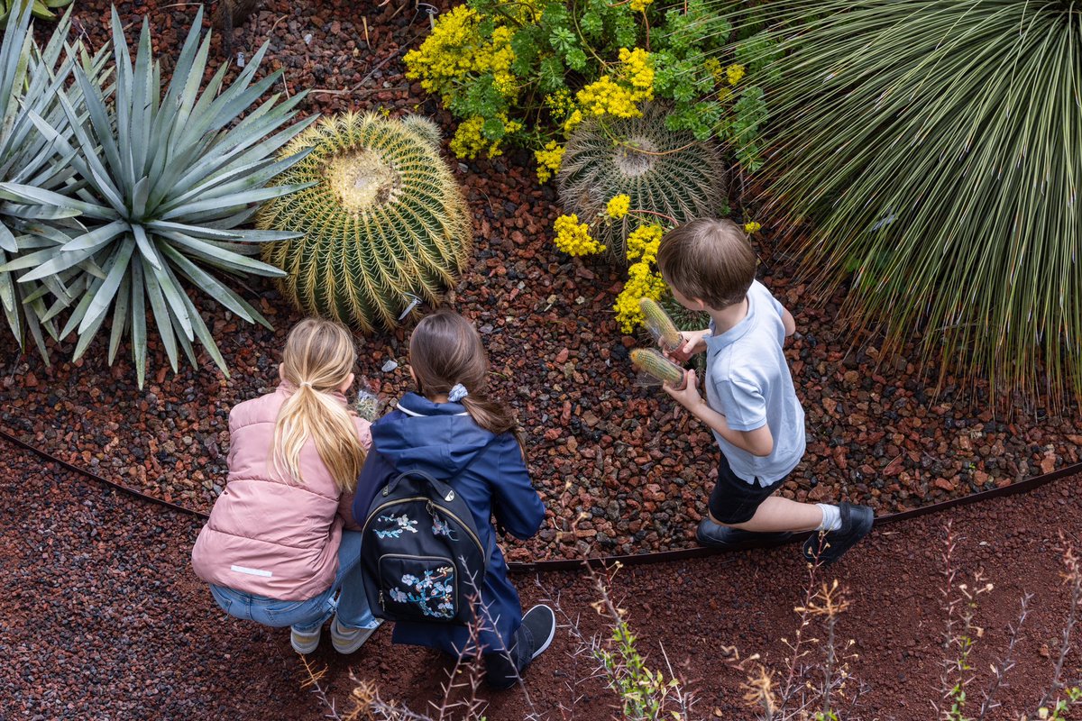monaco__info's tweet photo. Un samedi matin pas comme les autres au Jardin Exotique de Monaco une chasse aux plantes pour les 3-12 ans, suivie d’un délicieux sachet d’œufs en chocolat.
© Direction de la Communication / Manuel VITALI
#monacoinfo #jardinexotique #paques https://t.co/lLTG94s7IW
