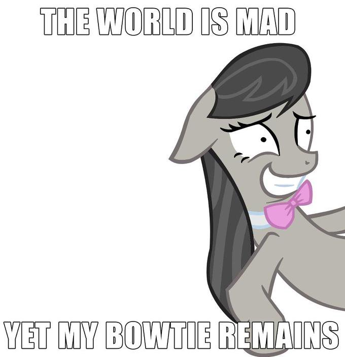 Octavia Melody tweet media