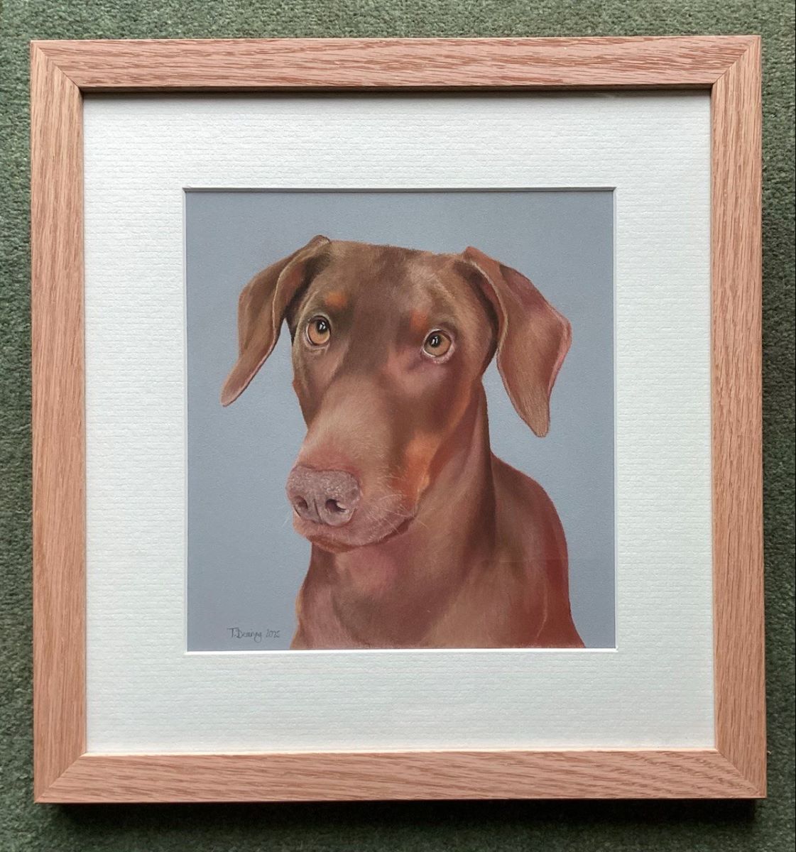 tamsintheartist's tweet image. Ruby, a pastel portrait drawn for a fundraiser in aid of @LincsDobermann 
£632 was raised to help pay for treatment for Summer the Dobermann. And this original artwork is off to Ruby's family next week who won the prize draw. 

#dobermanrescue #dobermannart #dogportrait