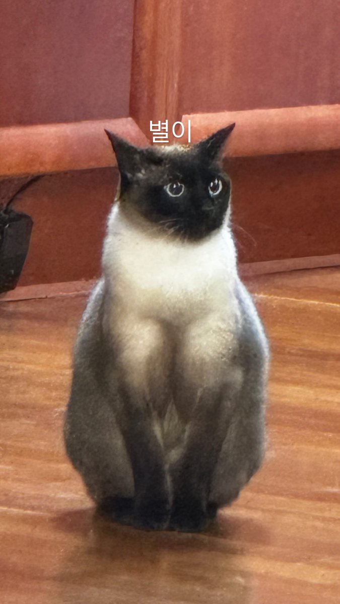 [📷] #CHOISAN instagram story