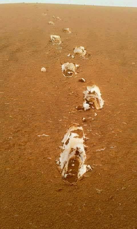 MildlyInteres's tweet photo. Sand covered snow in the Algerian desert looks like tiramisu https://t.co/Yc98zKzQOB