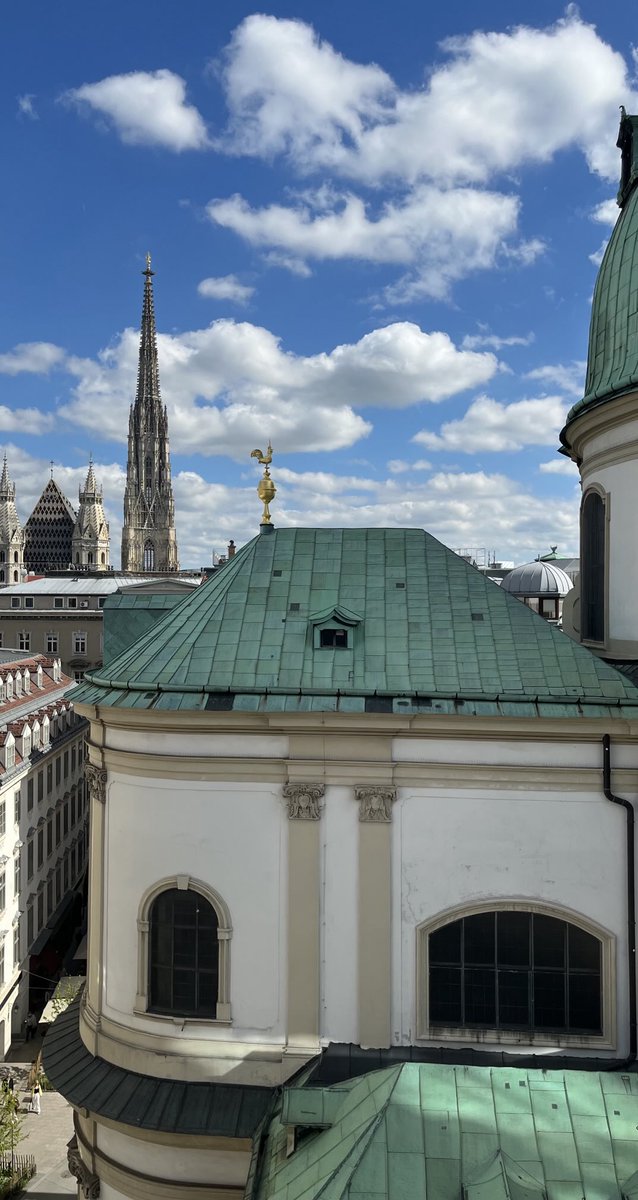 Dame Rachel de Souza tweet media