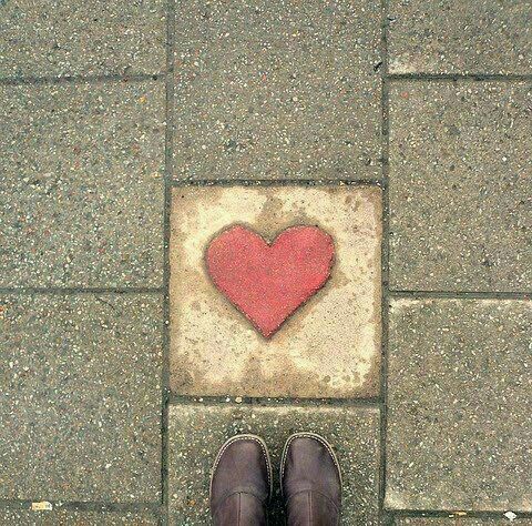 poetical photos. tweet media