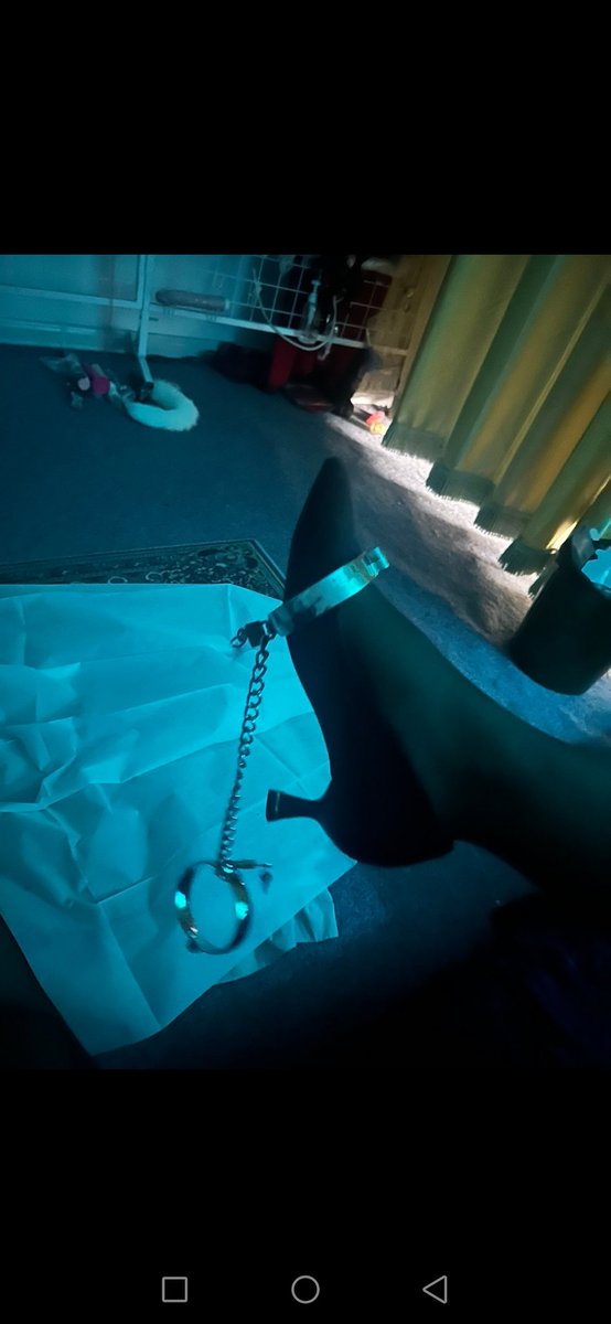 贱狗儿子爬过来！！！#北京ts #北京天使  #北京女王 #北京绿帽 #绿帽  #ts #天津ts #天津绿帽 #北京人妖 #人妖 #ts攻