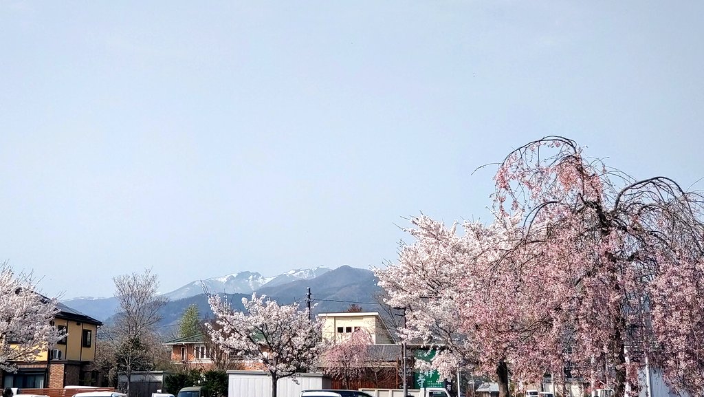yuan17854's tweet photo. @1
スクモと観光お花見🌸
桜の向こうには雪山が見える。標高高い所だけどめっちゃ暑かった🥵
石段昇り降りハードでしたわ
やはりアクスタ大感謝です🙏✨
一緒にお出掛け出来て楽しい☺️
アクスタの台座立ち位置的に間違えた気がするけど…
#これ完全に入ってr
#SCREENmode
#林勇
#太田雅友 https://t.co/mn1mKieQK0