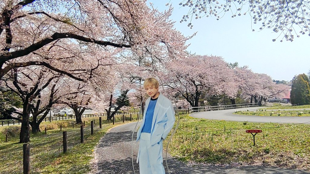 yuan17854's tweet photo. @1
スクモと観光お花見🌸
桜の向こうには雪山が見える。標高高い所だけどめっちゃ暑かった🥵
石段昇り降りハードでしたわ
やはりアクスタ大感謝です🙏✨
一緒にお出掛け出来て楽しい☺️
アクスタの台座立ち位置的に間違えた気がするけど…
#これ完全に入ってr
#SCREENmode
#林勇
#太田雅友 https://t.co/mn1mKieQK0