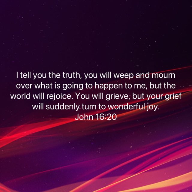 iamseangeorge's tweet photo. https://t.co/QgmGxrhezN