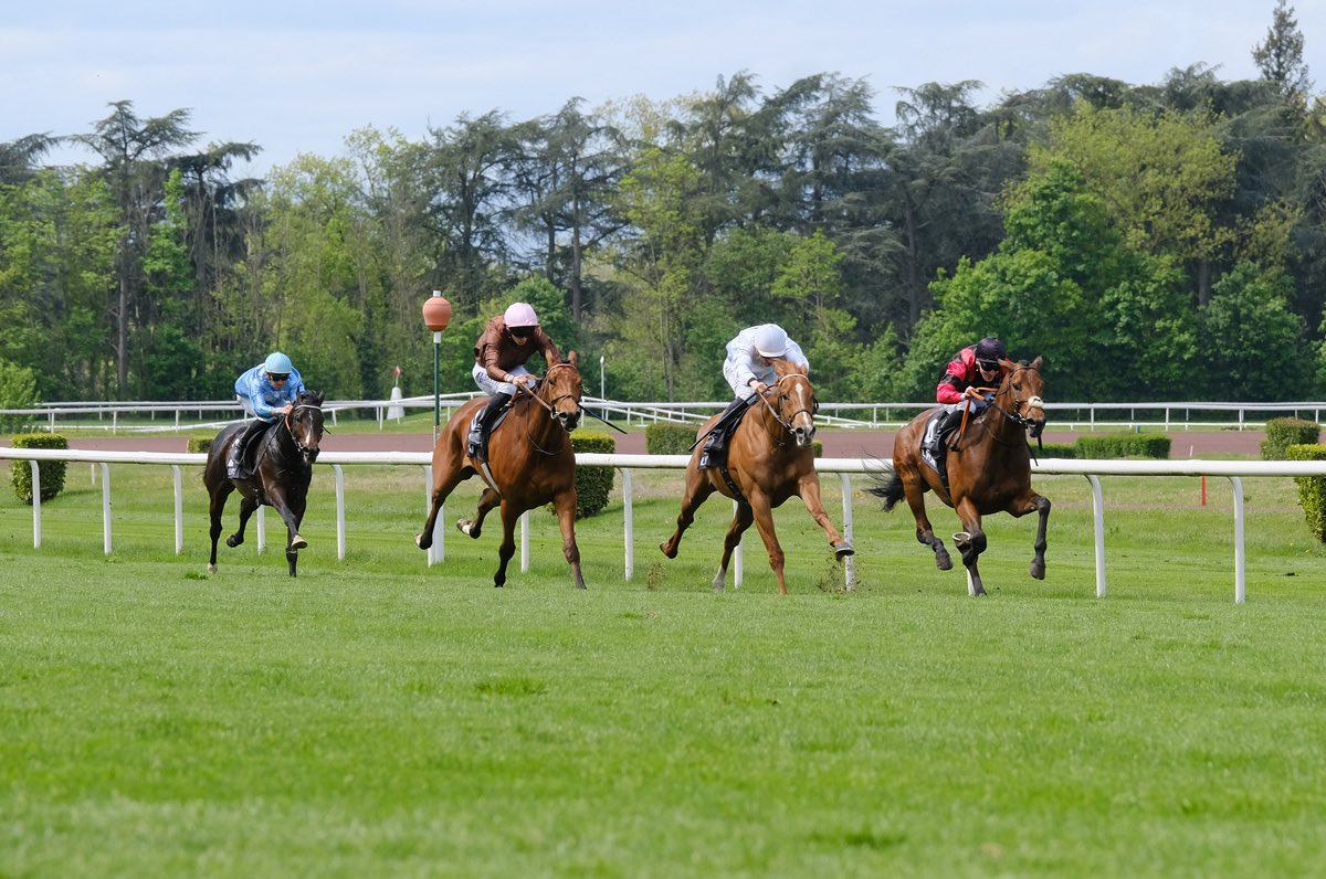 AlexPantall's tweet photo. 🐎🐎🥇🥇 at Lyon @AlexPantall
🐎 ALEX VOLK (G3) by #GoldenHorn
Prix Désir de Mai (Maiden)
🎩 @NurlanBizakov
🏇🏻C. Demuro
🐎 SIR SILJAN (C4) by #ClothOfStars Printemps (Classé 2)
🎩 Westminster Race Horses SP Zoo
🏇🏻 A. Pouchin
Photos #Couleurcasaques https://t.co/DoeVnYsvk1