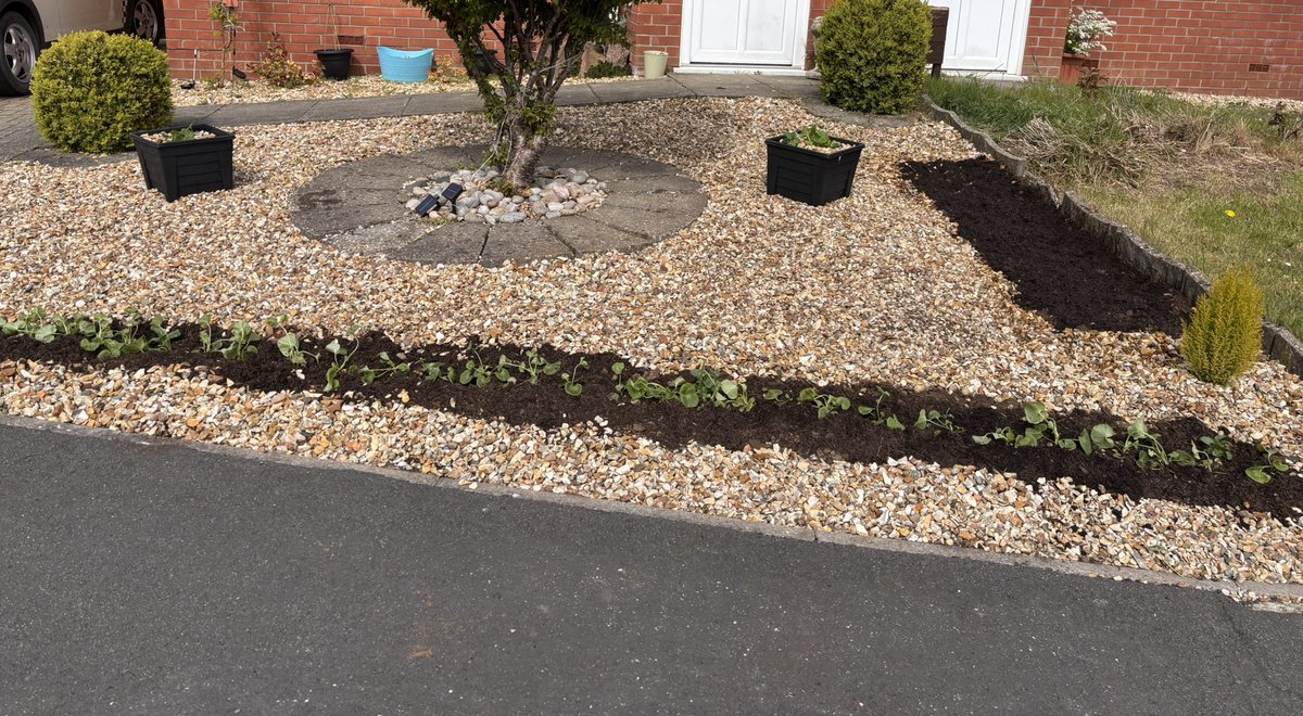 MichelleDenove1's tweet photo. How bank holidays look now 😂🫣 when gardening is your high life 😂 https://t.co/THDasZETyk