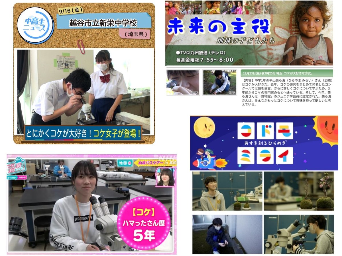 ちゅらりん tweet media