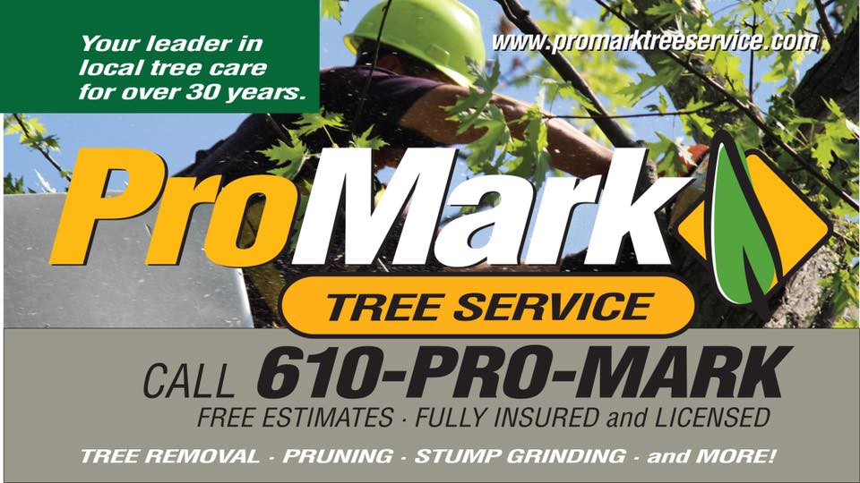 ProMark_Inc's tweet photo. Your one stop shopping for all of your tree care needs. Call the Pros @ ProMark for your free estimate 610.754.7400 https://t.co/qxc6o3seMX