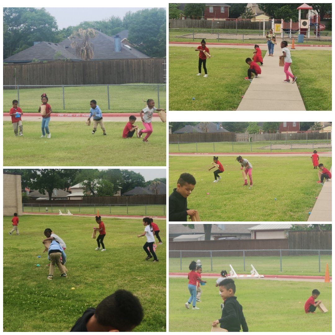 ChisdHighpointe's tweet photo. PreK scholars enjoyed an outdoor social learning experience collecting then counting eggs Friday. #OwnItHPE #LearningFun https://t.co/fSotYk6JwY