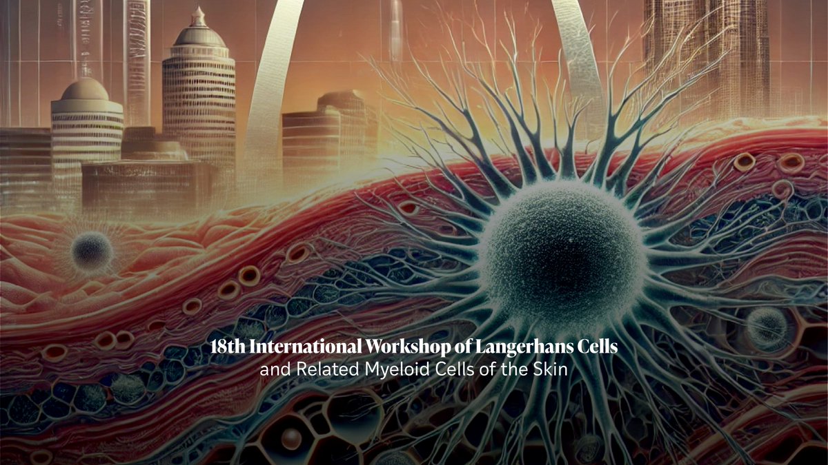 klechevskyLab's tweet image. Langerhans Cells, Dendritic Cell and #skinimmunology lovers❤️ #LC2025 registration is NOW OPEN! Meet us in St. Louis @washu_pathology, Sep. 3-5, 2025, Amazing program! Intimate and collaborative discussions on breakthrough discoveries! register today at langerhans.org