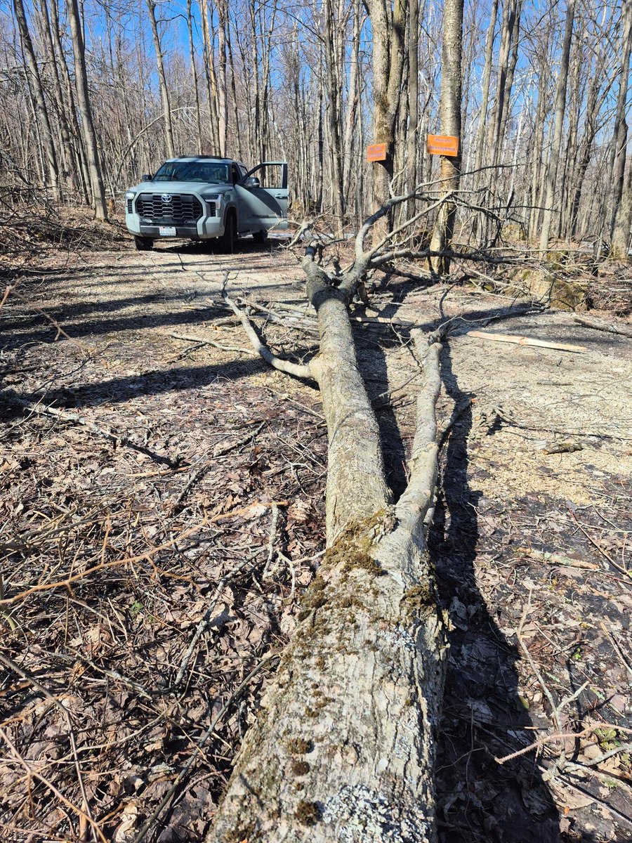The post ice-storm clean up continues! Due to the scope of work required to recover, and the continued impact on operations we remain temporarily closed until further notice.

Stay tuned to our website and socials for updates.

Thank you for your patience.

#sceniccaves