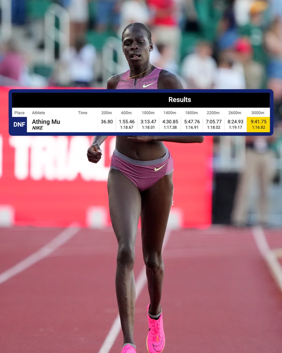 Travis Miller tweet media