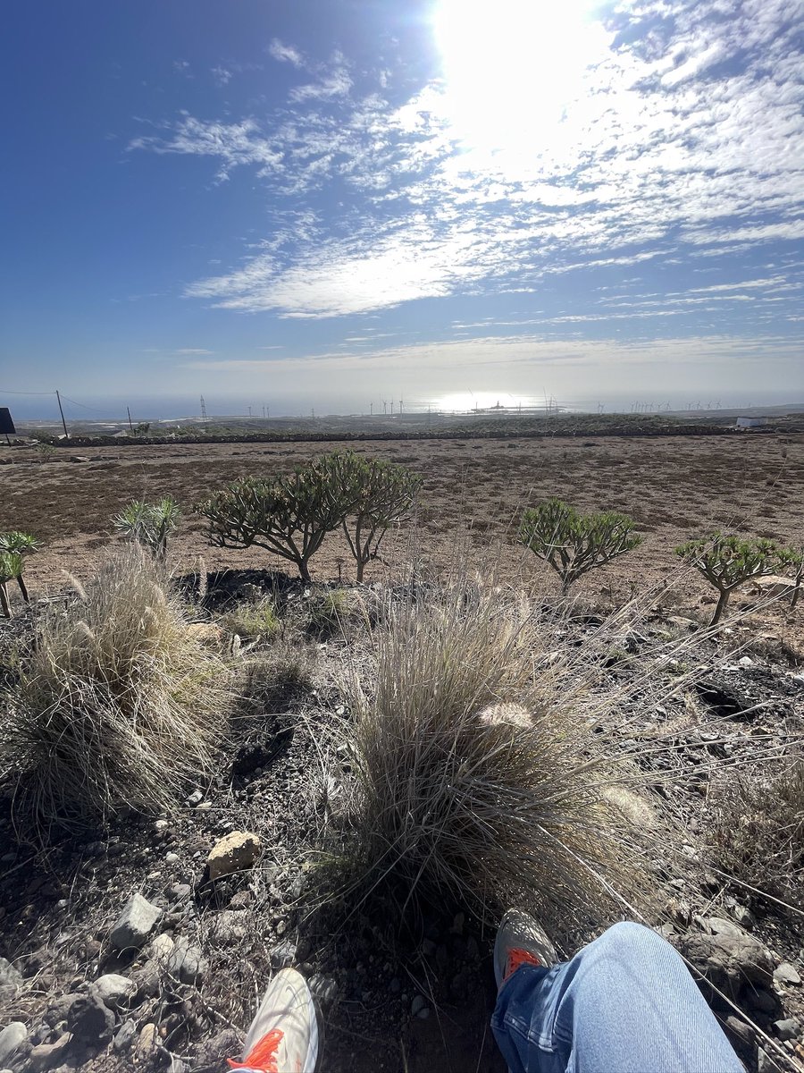 DEAL! Es ist soweit, wir sind uns einig und starten auf Teneriffa mit knapp 3.800 qm landwirtschaftlicher Fläche im Süden, mit Meerblick, oberhalb vom Windpark ☀️❤️