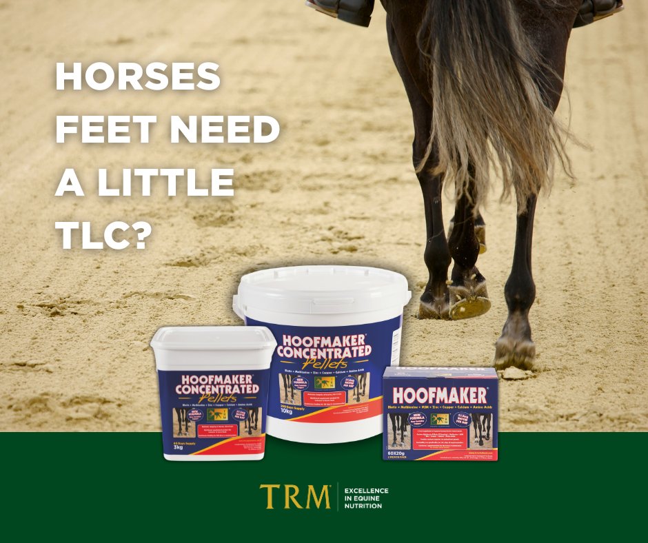 Horses Feet Need A Little TLC? 🐎

TRM HOOFMAKER provides all the nutrients necessary to protect and nourish the hoof – high Biotin levels, bioavailable sulphur, zinc, copper and calcium ✨

#horse #nutrition #trm #equinesupplements #excellenceinequinenutrition