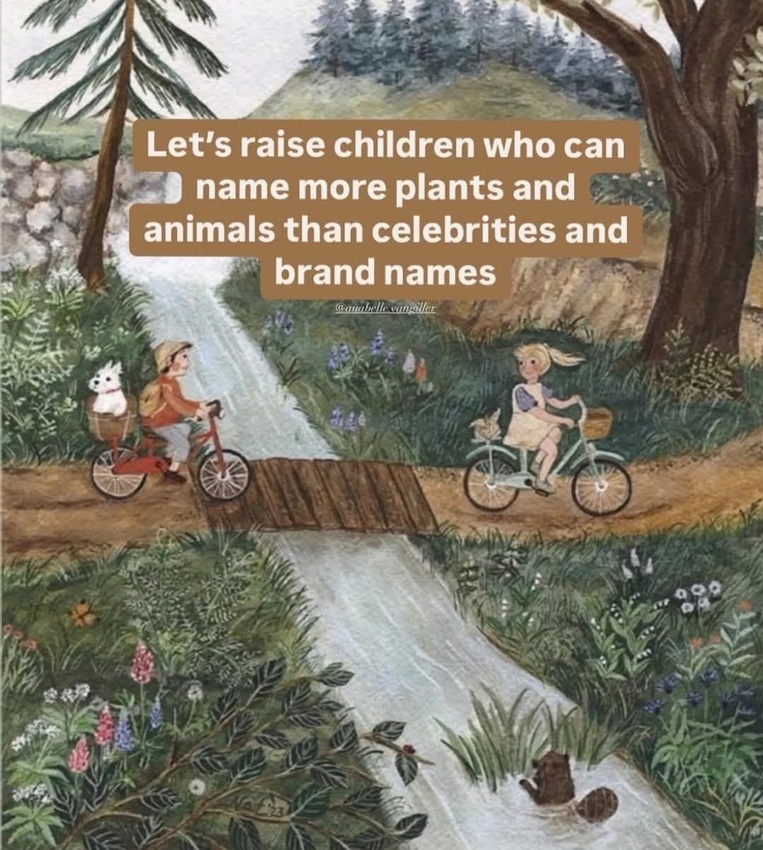 That would be so nice...

Credit: <a href="/anabelle/">^—^</a>.vangiller

#Youth4WaterIndia #NaturesClassroom #CloserToNature #Youth4Nature #LivingEarthCitizens