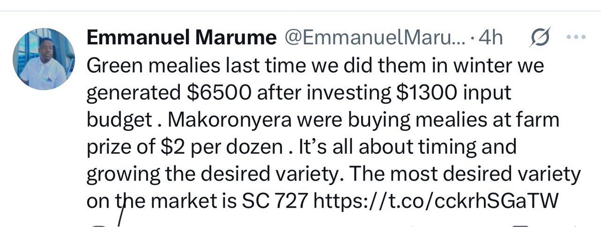 Dior Pote (@potedior) on Twitter photo Return on Investment from green mealies using SC 727 from <a href="/SeedCoZimbabwe/">SeedCo</a> is astronomical. Testimonies & confessions are giving good reviews towards selecting the variety for green mealies market.Customers of the green mealies are happy with cob size, taste & shelf life. <a href="/cmashx/">Clarence Tinashe Mashavave𓃵</a> Return on Investment from green mealies using SC 727 from <a href="/SeedCoZimbabwe/">SeedCo</a> is astronomical. Testimonies & confessions are giving good reviews towards selecting the variety for green mealies market.Customers of the green mealies are happy with cob size, taste & shelf life. <a href="/cmashx/">Clarence Tinashe Mashavave𓃵</a>