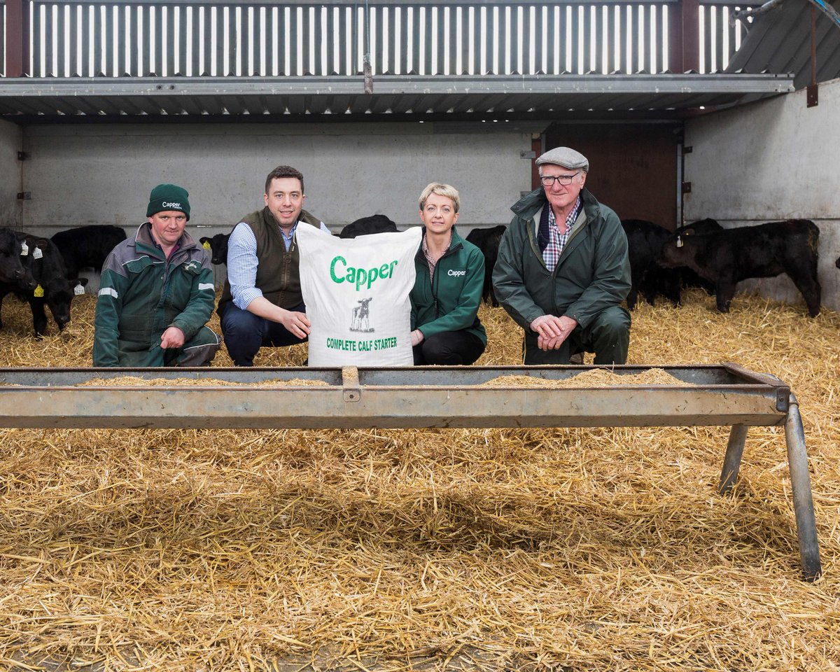 High quality complete ruminant feeds throughout the island of Ireland
#AD #CapperTrading #beef #farm #feed #calf #calves
[via Farming Life]
trib.al/Y4evOha