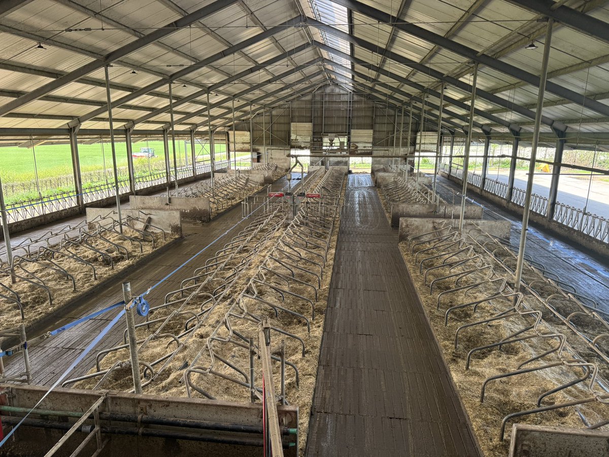 Wilfried Gr Koerkamp tweet media