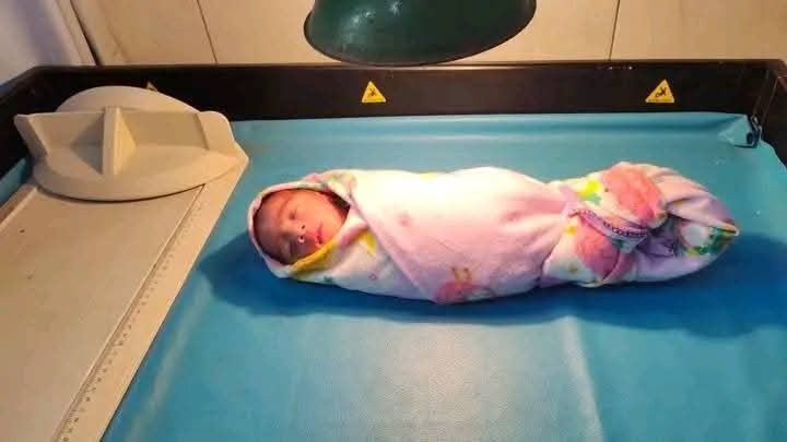 creepyroom's tweet photo. ⚠️ TRIGGER WARNING / CHILD ⚠️

Penemuan bayi berjenis kelamin laki-laki dengan berat 1,8 kg dan panjang 44 cm di depan pabrik PT. Wanxinda Desa Pendosawalan, Kalinyamatan, Jepara.

Bayi tersebut saat ini masih mendapatkan perawatan intensif di Ruang Picu Nicu RSUD Kartini Jepara.

Dari hasil pemeriksaan bayi laki-laki tersebut lahir prematur atau belum cukup umur.

Kurang dari 24 Jam Polisi berhasil menangkap ibu dari bayi yang ditemukan di Pendosawalan Kalinyamatan Jepara Kamis (17/4/2025). 

Sang ibu itu ialah DS (19) Karyawan swasta yang berkerja di pabrik dekat tempat kejadian perkara. Warga Kabupaten Banyumas itu ditangkap pada pukul 21.00 WiB di Gerbang Tol Demak saat hendak melarikan diri ke Banyumas. 

DS mengaku membuang sang buah hati karena malu ia hamil di luar pernikahan dari hasil hubungan gelap dengan temannya sendiri yang juga warga Banyumas.