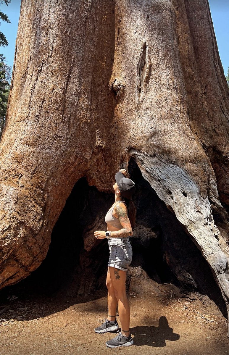 if you guess where this is, you are definitely an expert 🌳🇺🇸 #hiking #nature #travelgirl