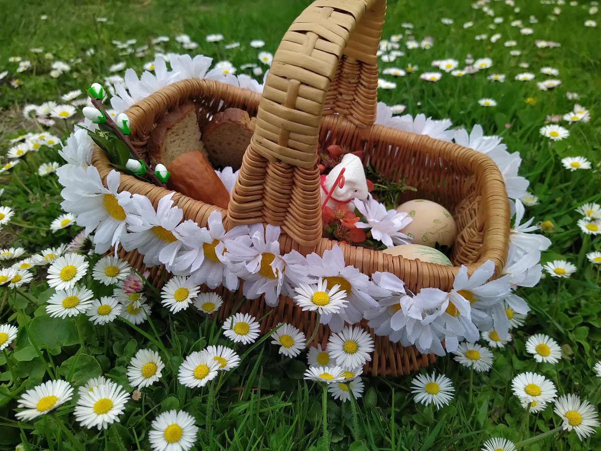 Let's share what impresses us 💛

🌼 Wishing you a peaceful and joyful Easter filled with hope, sunshine, and love.

🐣 May this springtime bring warmth to your heart and smiles to your days.

🌼 Happy Easter 🌼

📸 By me