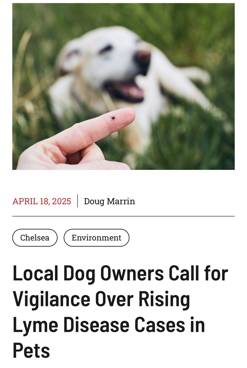 🧵 🐶 Lyme is a serious threat to dogs, &amp; it’s hitting hard. A heartbreaking FB post on “Chelsea Residents in the Know,” a local Michigan page) sparked dozens of comments from pet owners, revealing a surge in positive Lyme tests. 

Here’s what you need to know: