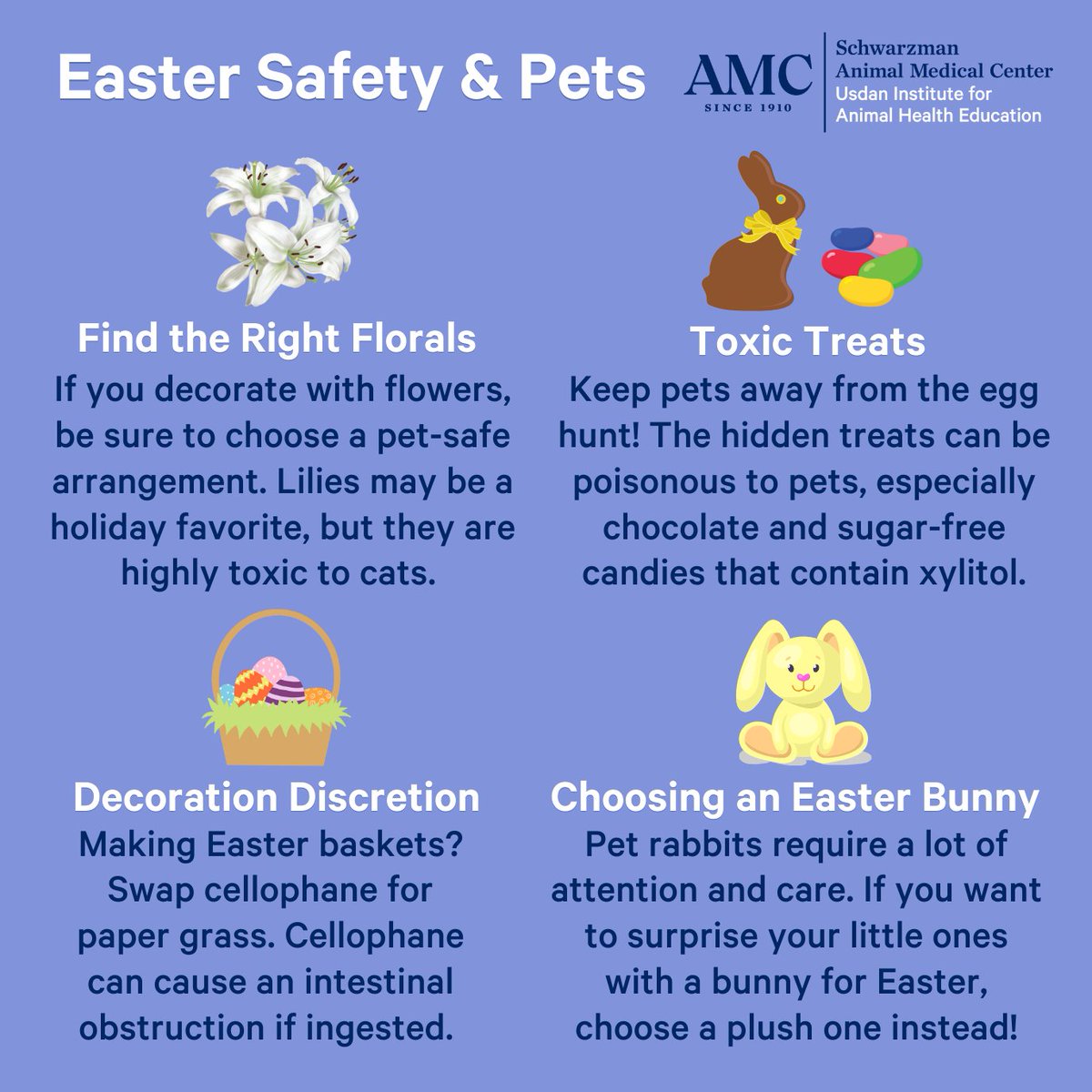 amcny's tweet photo. #UsdanPetTips 🐣 Easter is full of fun, but it can also bring hidden dangers for pets. Before the egg hunts begin and candy baskets come out, brush up on these pet safety tips:

✅ Keep chocolate and candy (especially anything with xylitol) out of reach.
🌸 Avoid toxic spring flowers, especially lilies.
🚫 Skip the plastic Easter grass. Opt for paper or fabric instead
🥚 Count all eggs after the hunt to avoid spoiled or swallowed surprises.
🍽️ Say no to table scraps, especially rich or fatty foods like ham.
🚪 Watch the door: make sure pets don’t slip out during guest arrivals.
🐰 If you're bringing home the Easter bunny, make it a plush one rather than a live one.