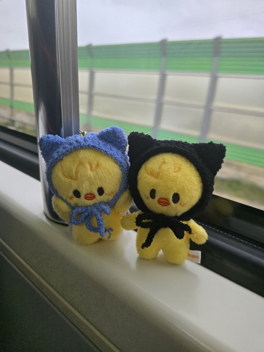 eun_bbok0915's tweet photo. 오랜만에하는 #rt 이벤트💕
흑뽁이 화보 기념으로 검은 고양이 모자🐈‍⬛를  rt 해주신 분들 중 추첨을 통해 1분께 보내드립니다🥰
추첨일 : 5월 1일 https://t.co/kAkFu65yKg