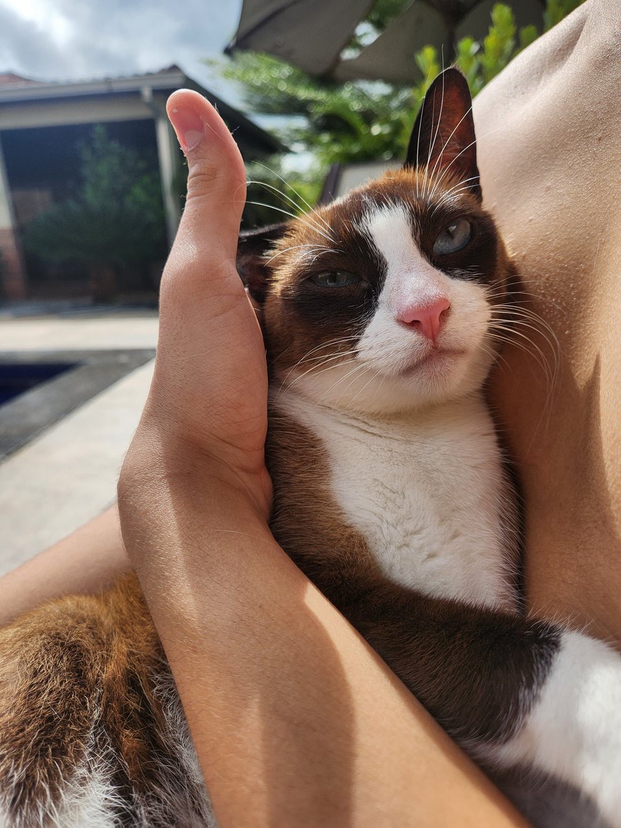 aotacker's tweet image. 🌞🌞