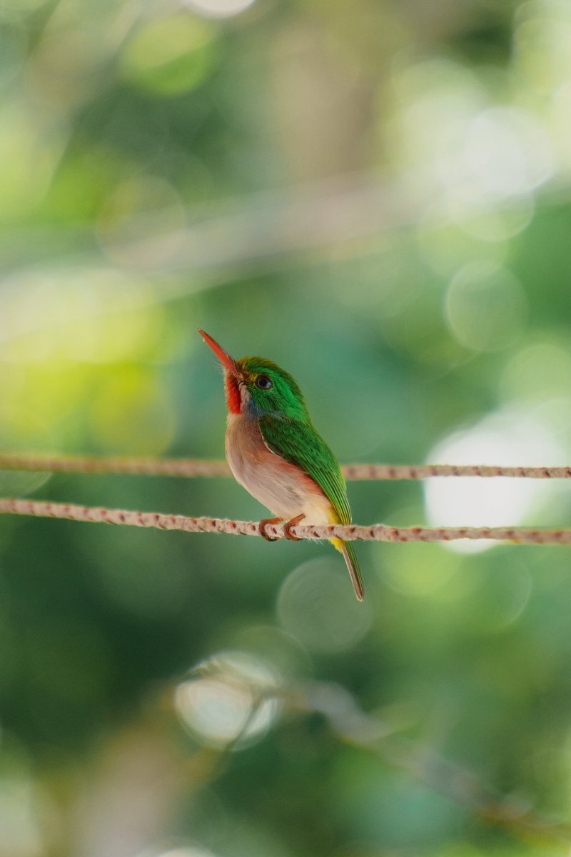 𝐏𝐚𝐛𝐥𝐨 𝐌 tweet media