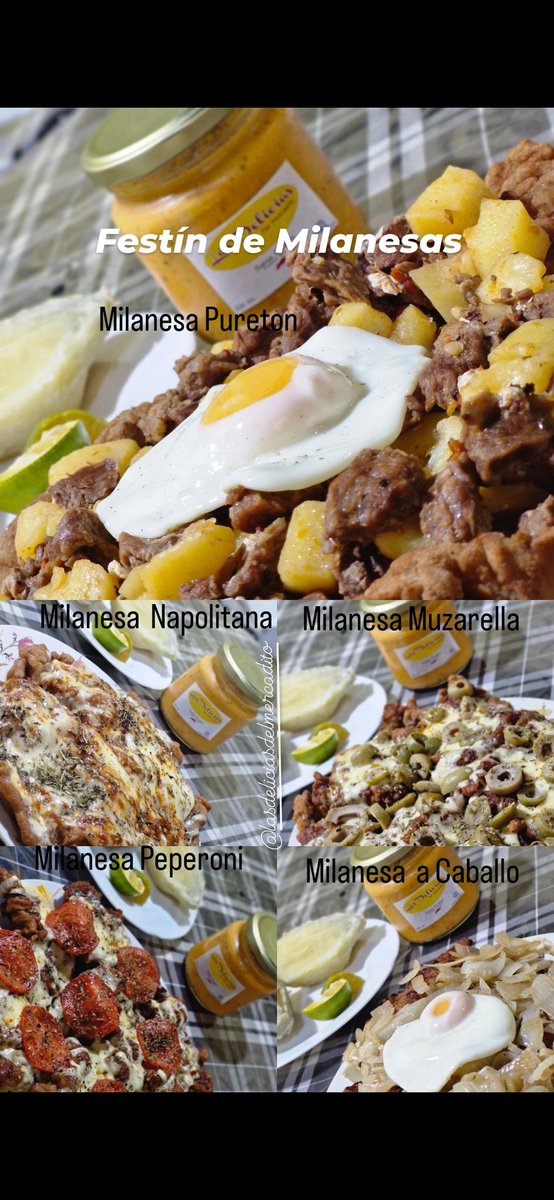 Tenes antojos de Milanesas tenemos  la solución  para vos