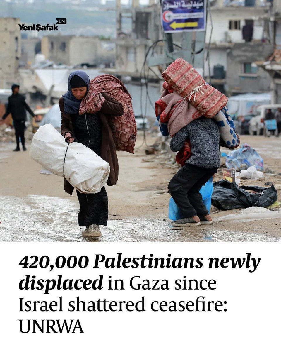 Emelia (@vikingwarior20) on Twitter photo 