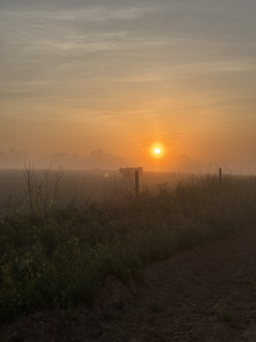 Mason Short ✞ tweet media