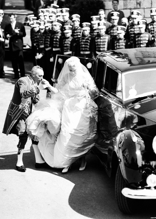 Grace Kelly Archives tweet media