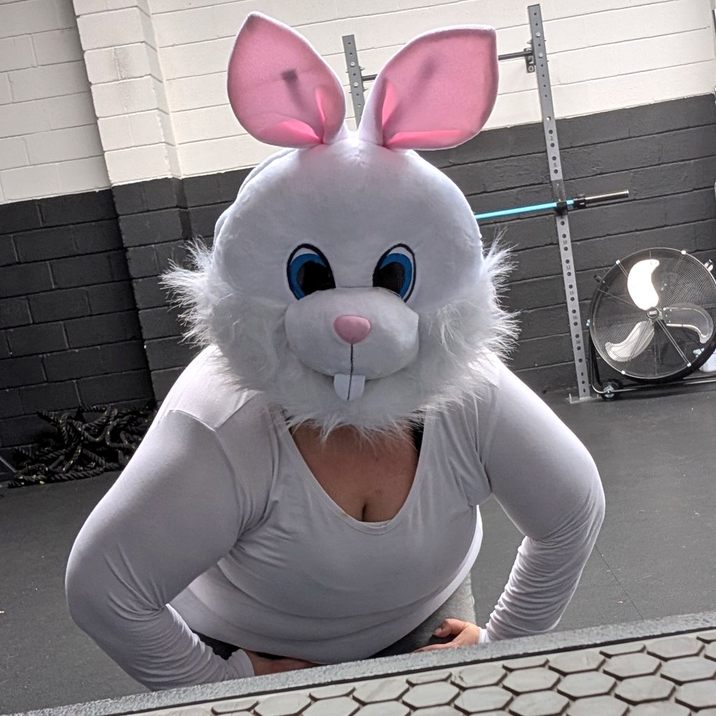 Hoppy Easter!

(Yes, I did attempt to work out like this. Did the weighted Squats and some Shoulder tap jump jack planks and sit ups!)
