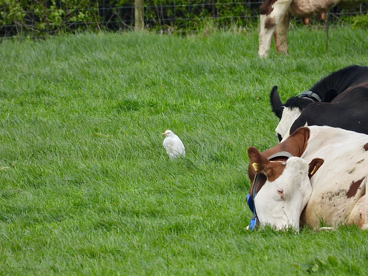 Tom Parkinson tweet media