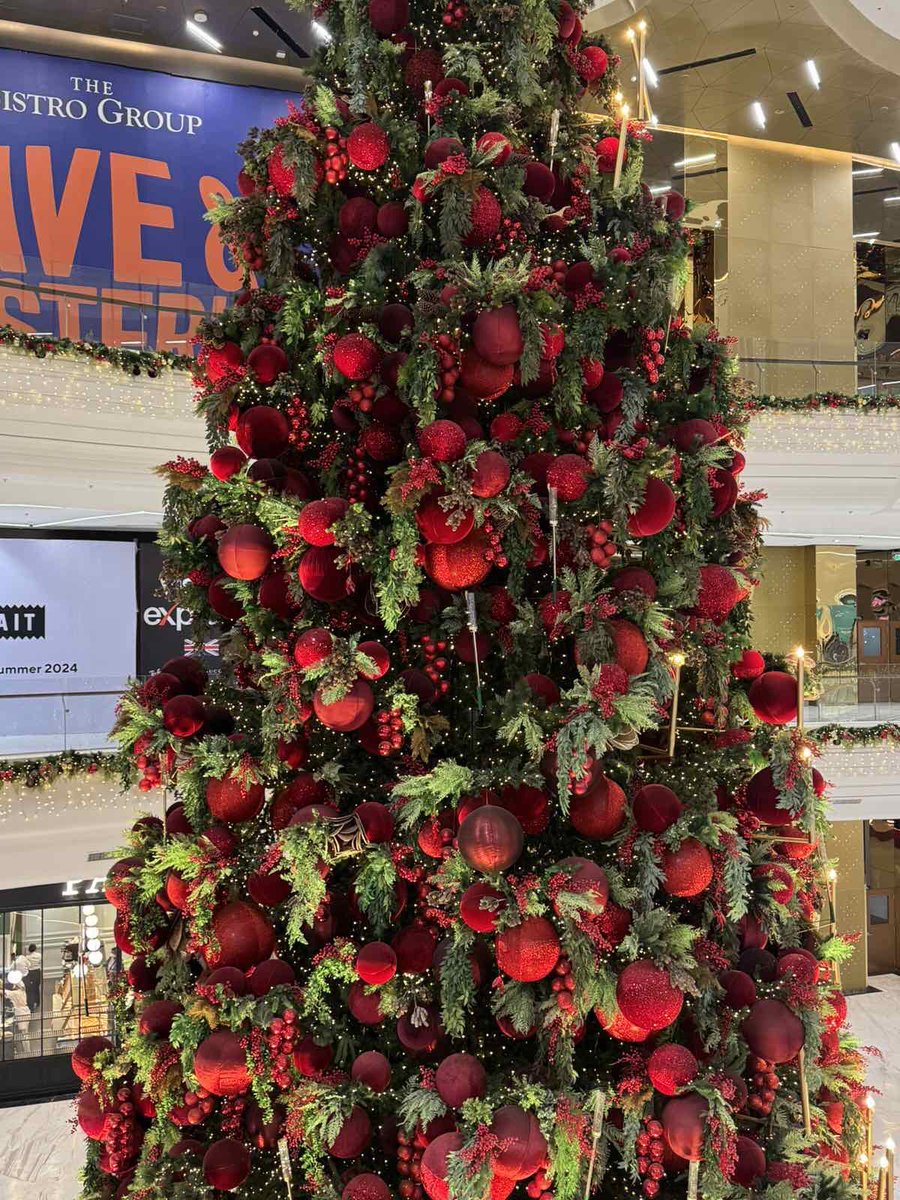 yllahtuts's tweet photo. @caseyy_sol 47

Okay same sa damit ko last monthsary. Newly discovered Opus and one of our faves now. Plus ang ganda talaga ng Christmas tree nila @caseyy_sol https://t.co/Iz5tRlM51K